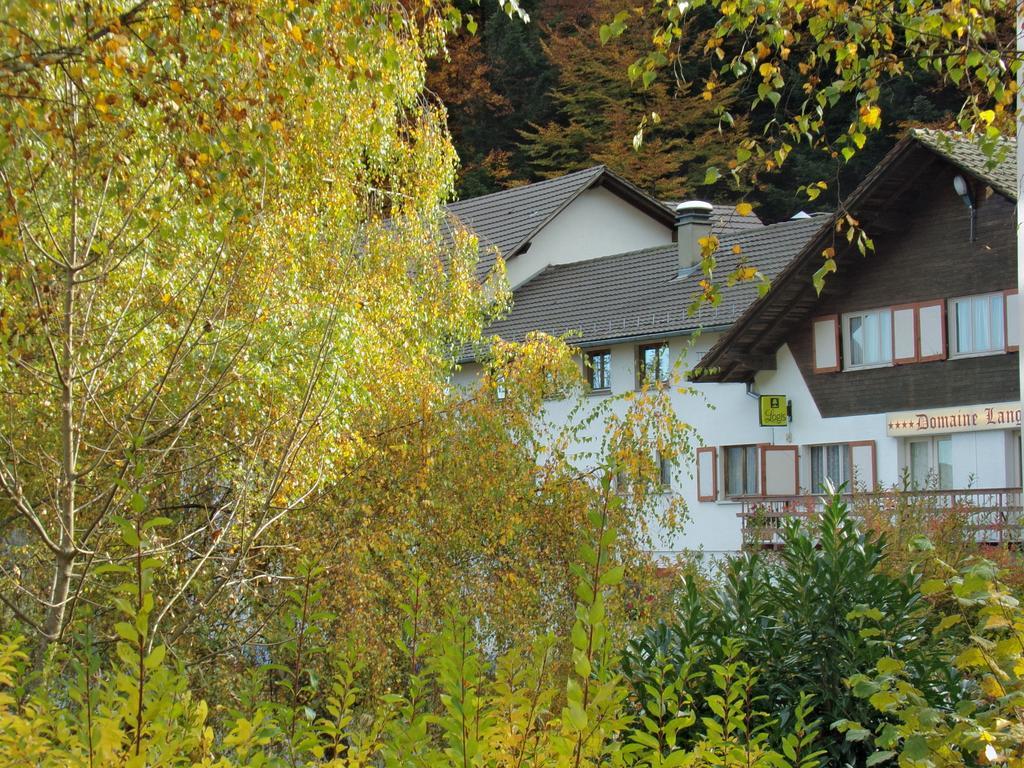Hotel-Spa & Restaurant Logis Domaine Langmatt Murbach Buitenkant foto
