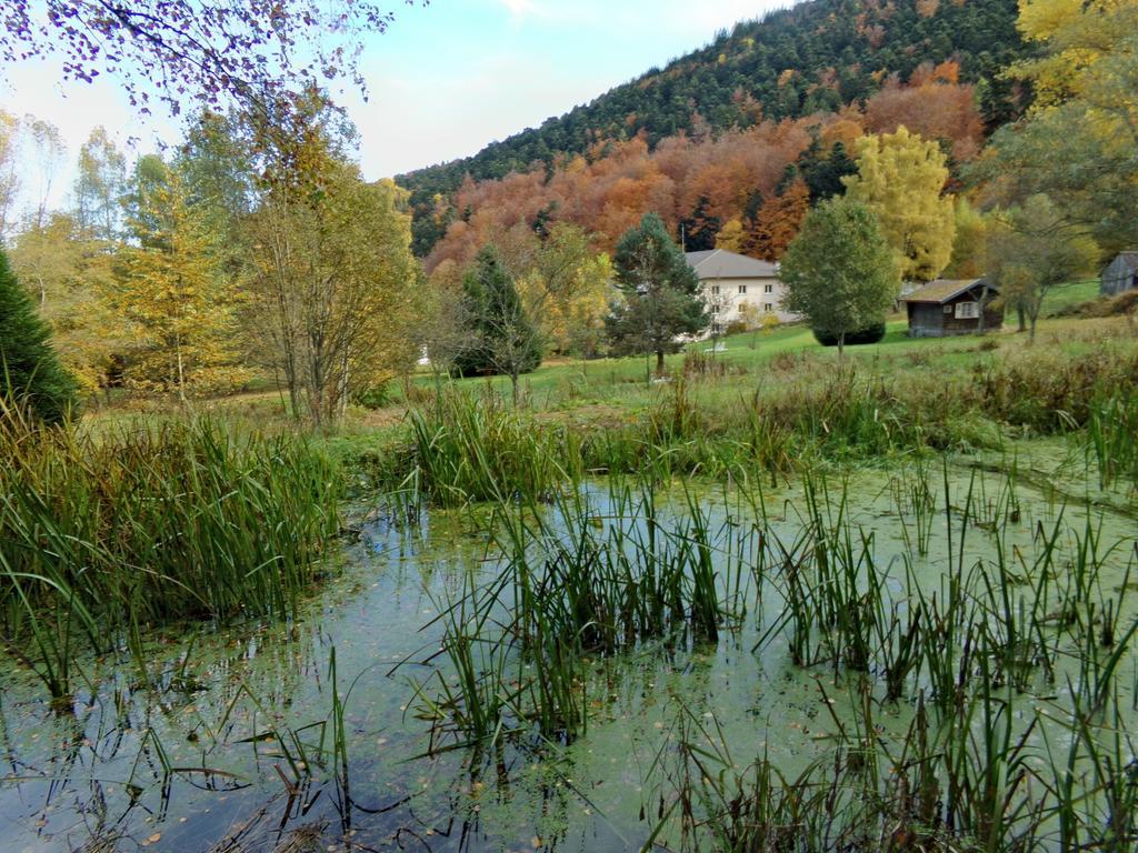 Hotel-Spa & Restaurant Logis Domaine Langmatt Murbach Buitenkant foto