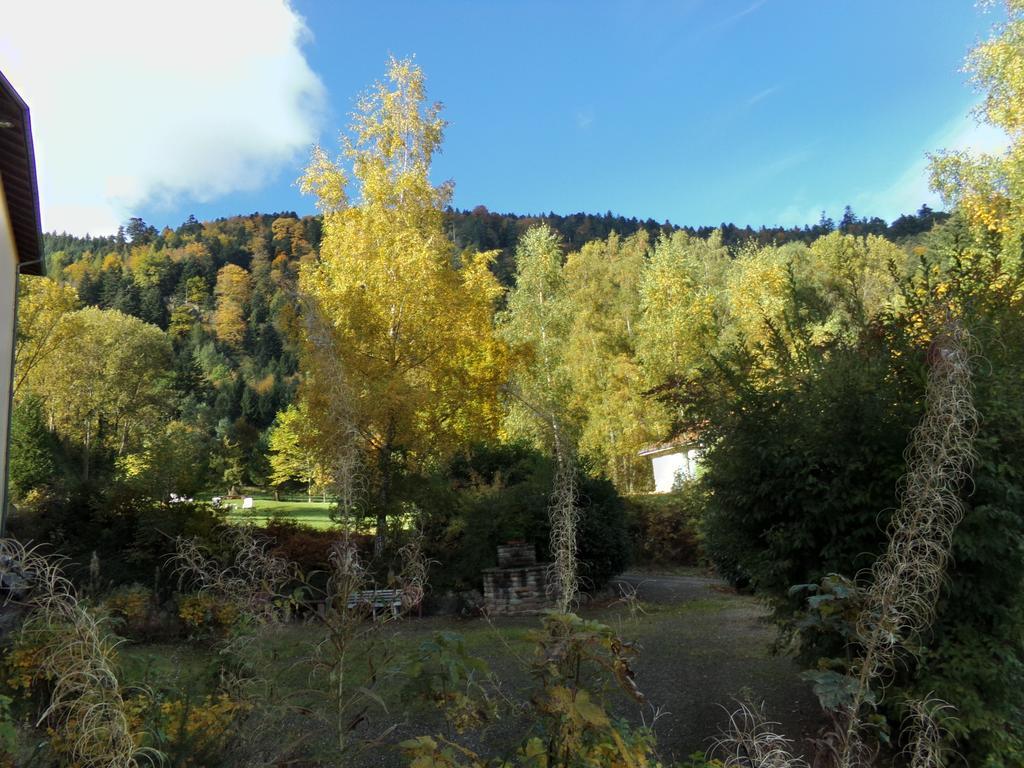 Hotel-Spa & Restaurant Logis Domaine Langmatt Murbach Buitenkant foto
